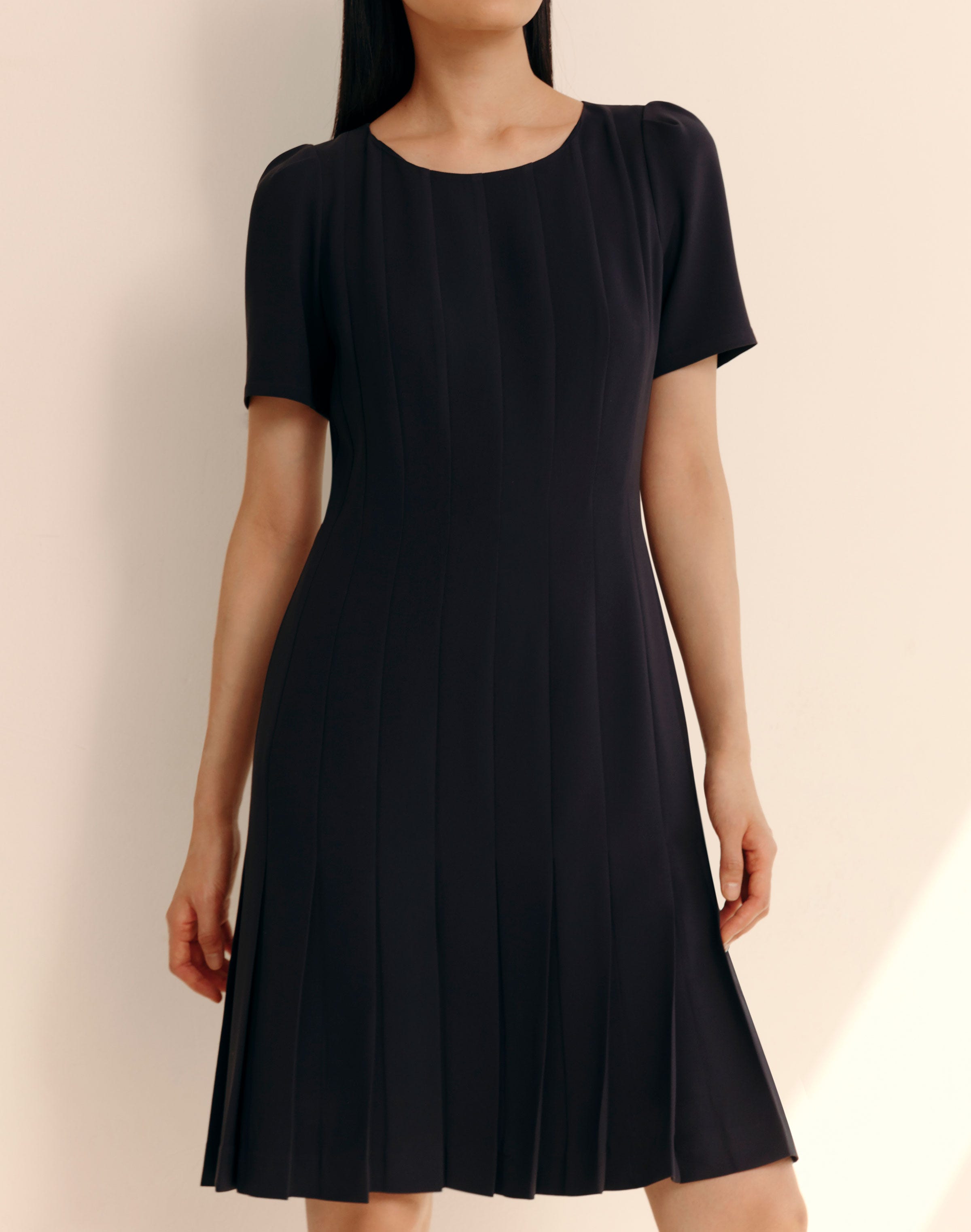 Petite Responsible Finesse Crepe Hand Pleated Short Sleeve Dress