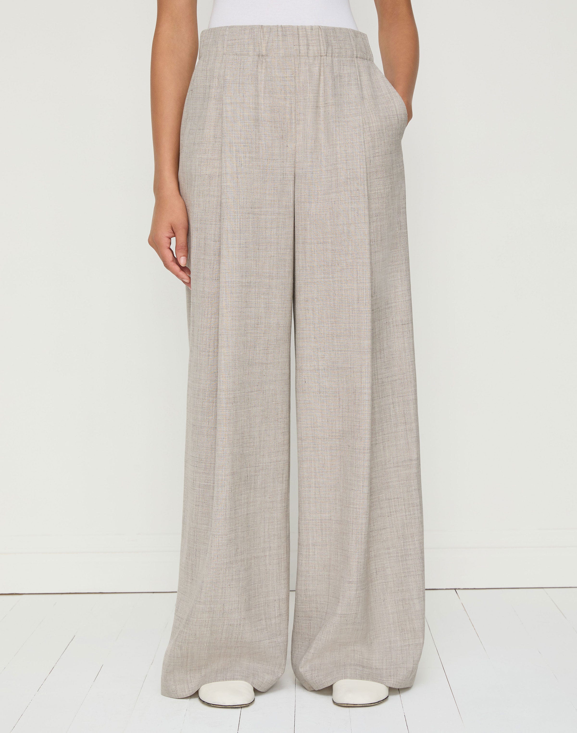 Tropical Wool-Silk Astor Pleated Wide Leg Pant