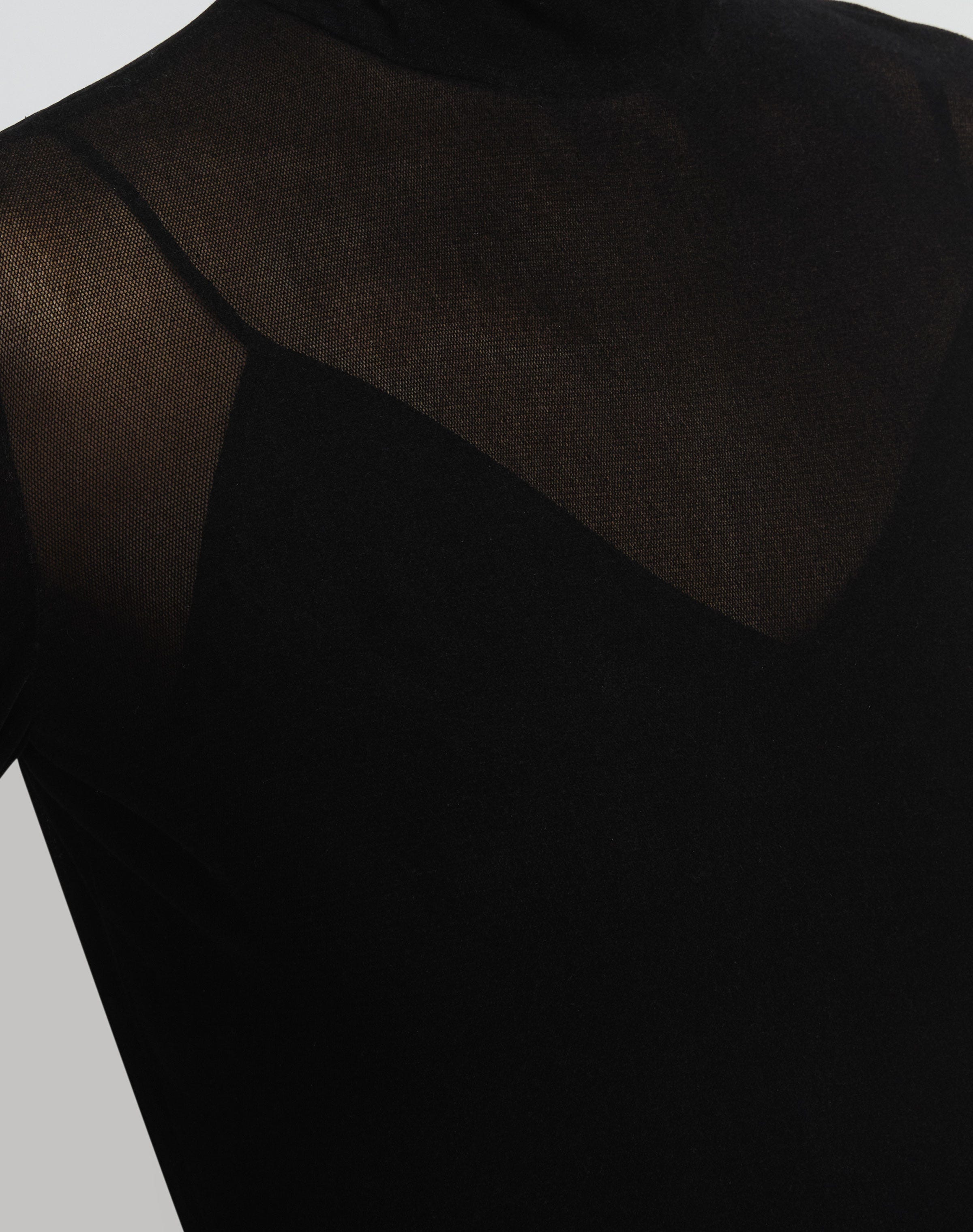 Velvet Mesh Jersey Sheer Turtleneck Top